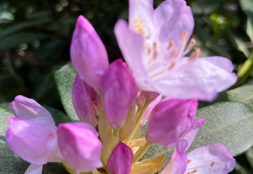 23-06-03 16-43-59 5793